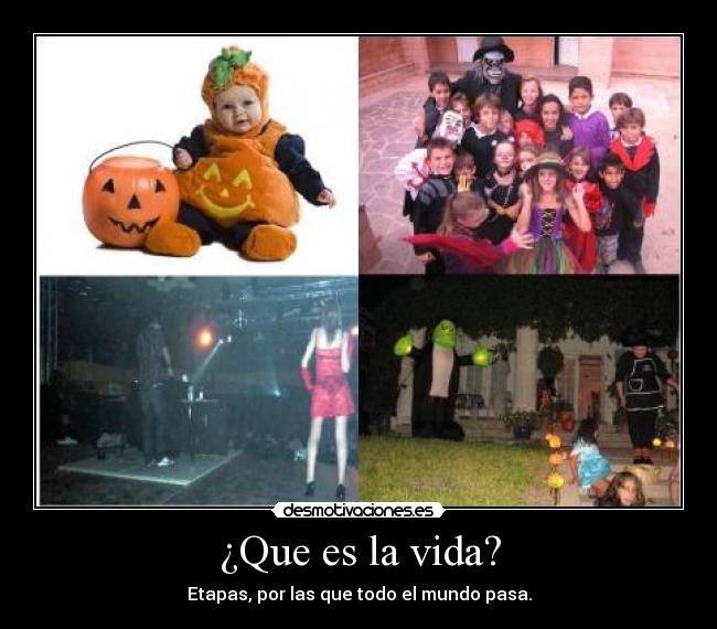 ¿Que es la vida? - Etapas, por las que todo el mundo pasa.