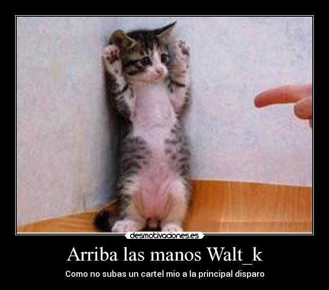 Arriba las manos Walt_k - 