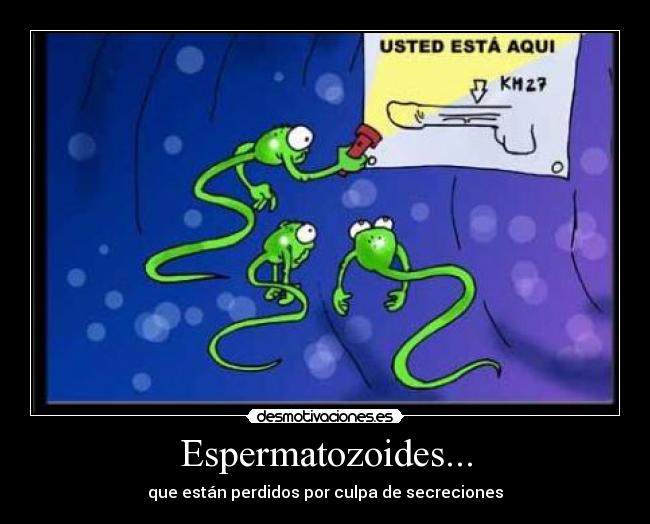 Espermatozoides... - 