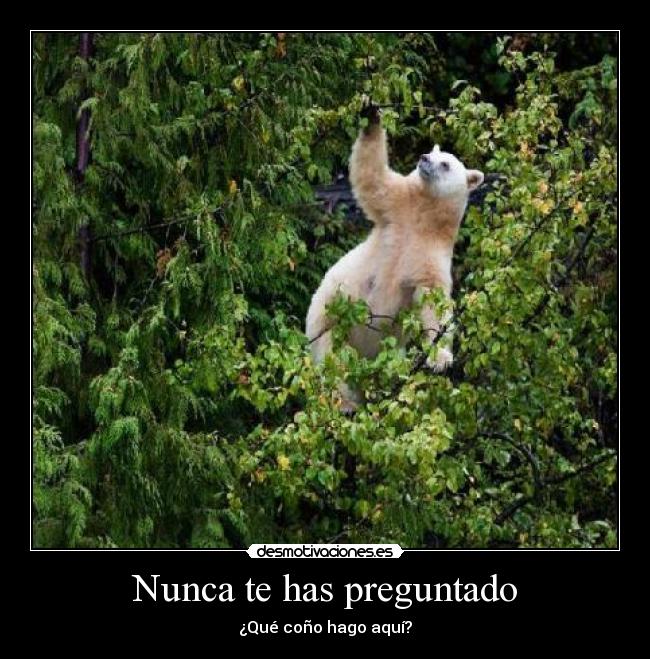 Nunca te has preguntado - ¿Qué coño hago aquí?