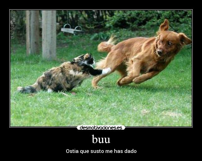 buu - Ostia que susto me has dado