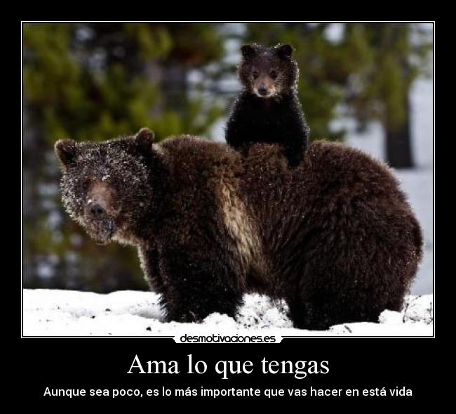 Ama lo que tengas - Aunque sea poco, es lo más importante que vas hacer en está vida