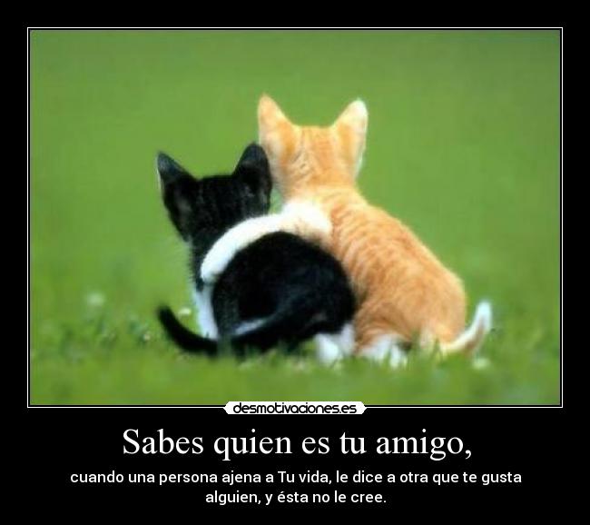 Sabes quien es tu amigo, - 