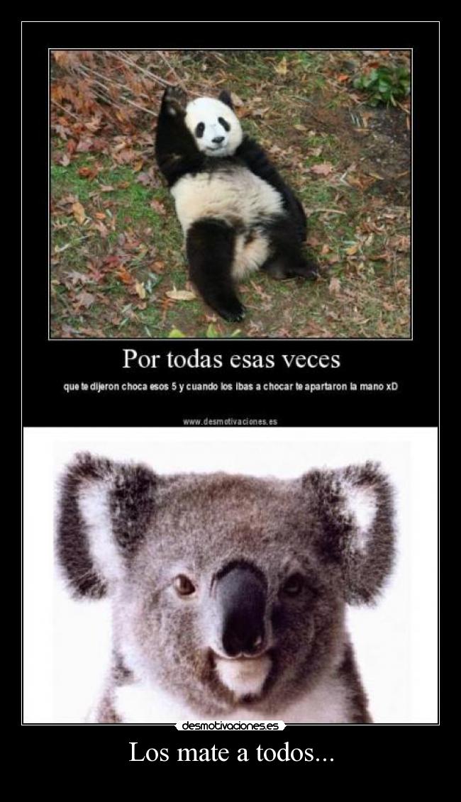 carteles kolangi for president clanng desmotivaciones