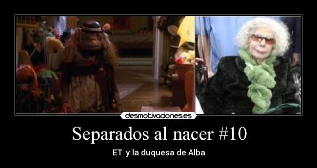 Separados al nacer #10 -