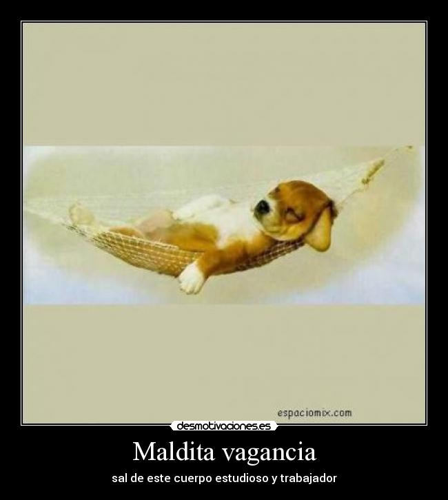 Maldita vagancia - sal de este cuerpo estudioso y trabajador