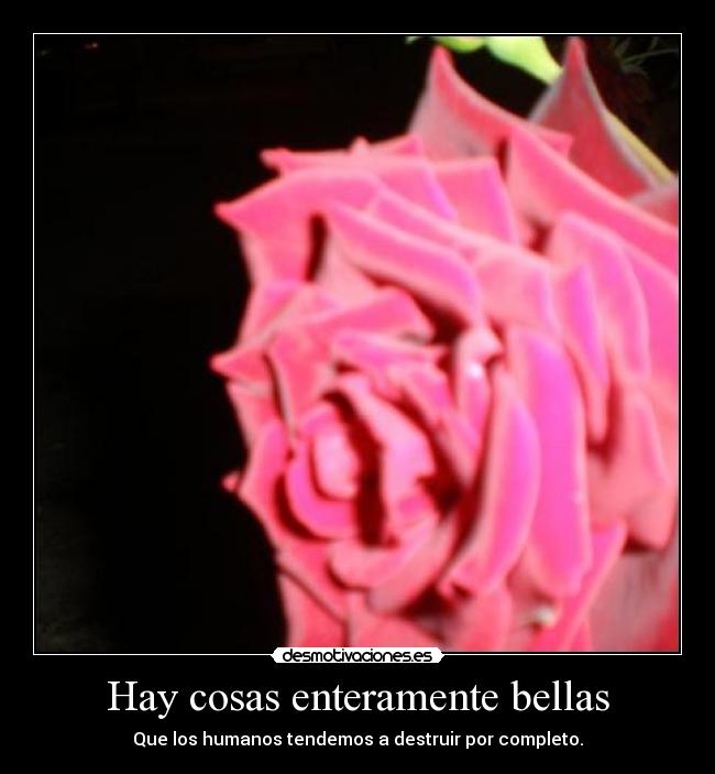 Hay cosas enteramente bellas - Que los humanos tendemos a destruir por completo.