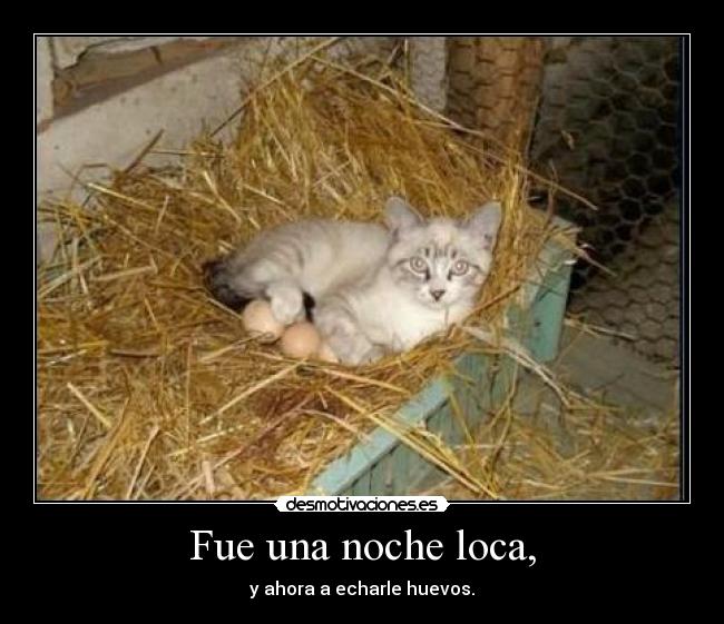 Fue una noche loca, - y ahora a echarle huevos.