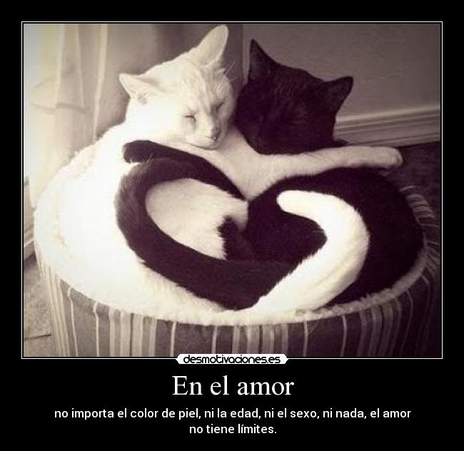 En el amor - 