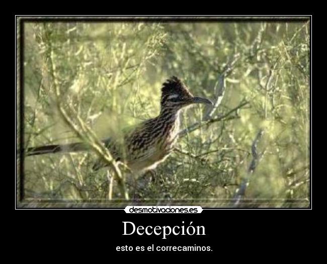 Decepción - 