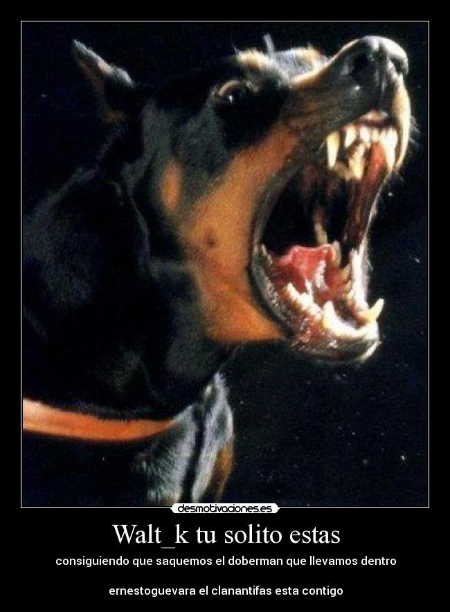 Walt_k tu solito estas - consiguiendo que saquemos el doberman que llevamos dentro
ernestoguevara el clanantifas esta contigo
