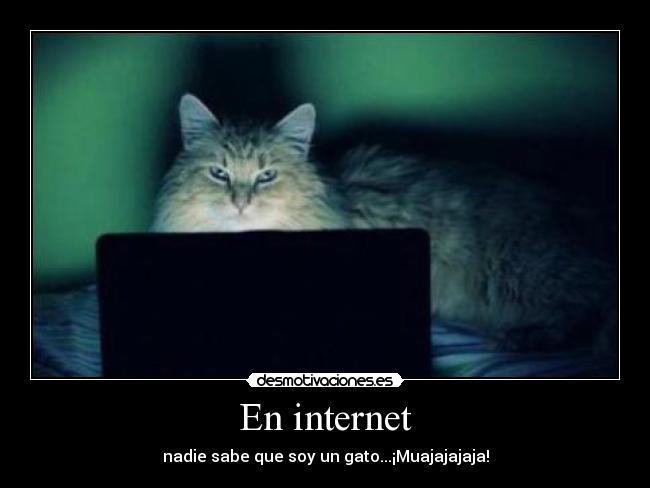 En internet -