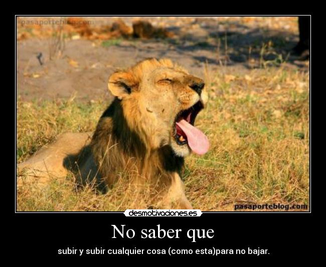 No saber que - subir y subir cualquier cosa (como esta)para no bajar.