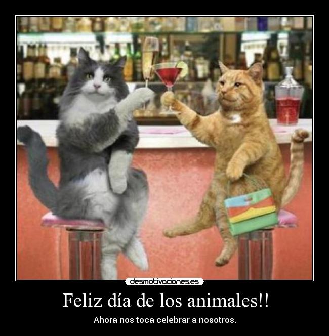 Feliz día de los animales!! - Ahora nos toca celebrar a nosotros.