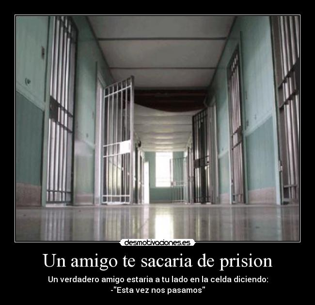 Un amigo te sacaria de prision - Un verdadero amigo estaria a tu lado en la celda diciendo:
-Esta vez nos pasamos