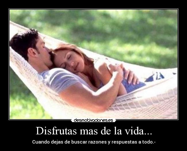 carteles vida life desmotivaciones