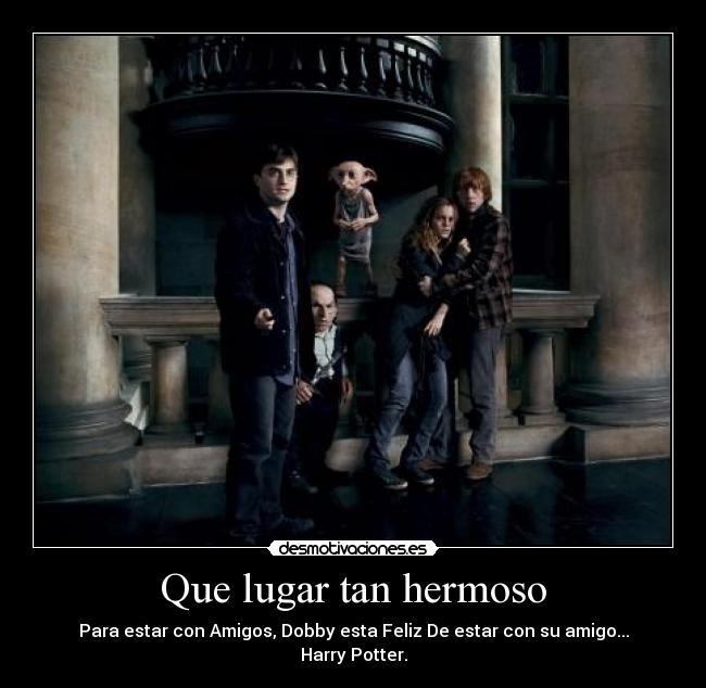 carteles harry potter doby hermoso desmotivaciones