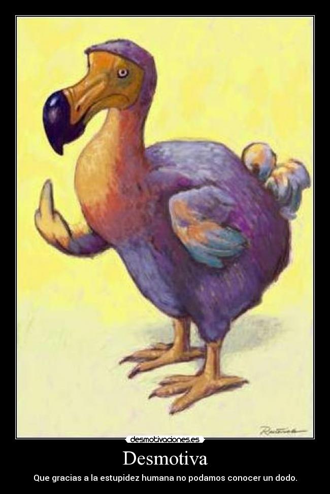 carteles dodo estupidez humana desmotivaciones