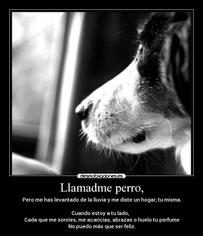 Llamadme perro, - 