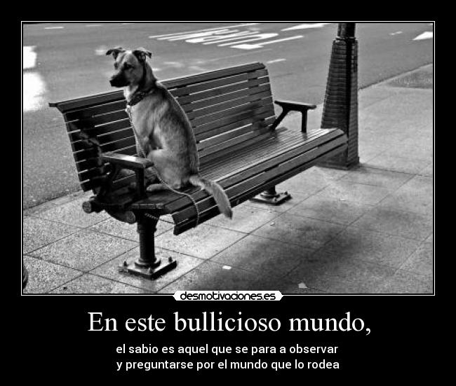 En este bullicioso mundo, - el sabio es aquel que se para a observar 
y preguntarse por el mundo que lo rodea