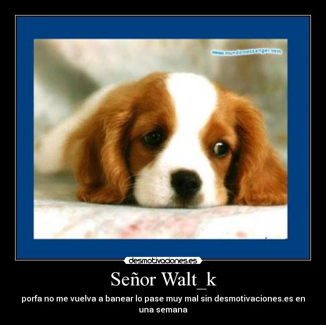 Señor Walt_k -