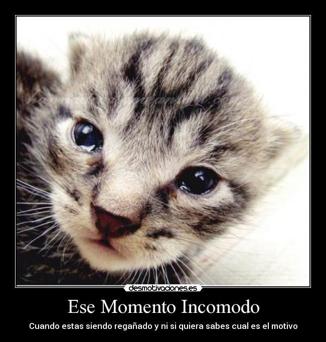 Ese Momento Incomodo - Cuando estas siendo regañado y ni si quiera sabes cual es el motivo