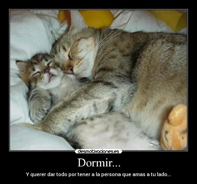 Dormir... - Y querer dar todo por tener a la persona que amas a tu lado...
