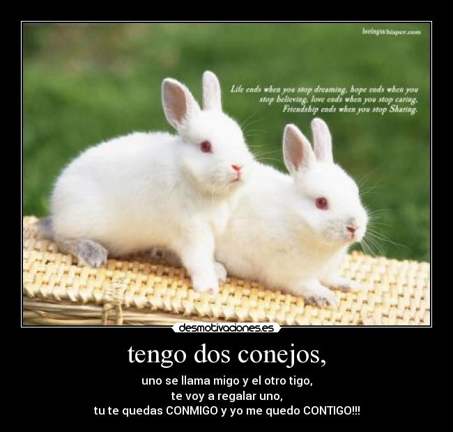 tengo dos conejos, - uno se llama migo y el otro tigo,
te voy a regalar uno,
tu te quedas CONMIGO y yo me quedo CONTIGO!!!