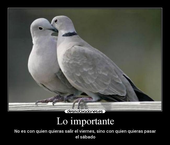 Lo importante - 
