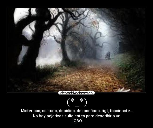 (*_*) - Misterioso, solitario, decidido, desconfiado, ágil, fascinante...
No hay adjetivos suficientes para describir a un
LOBO