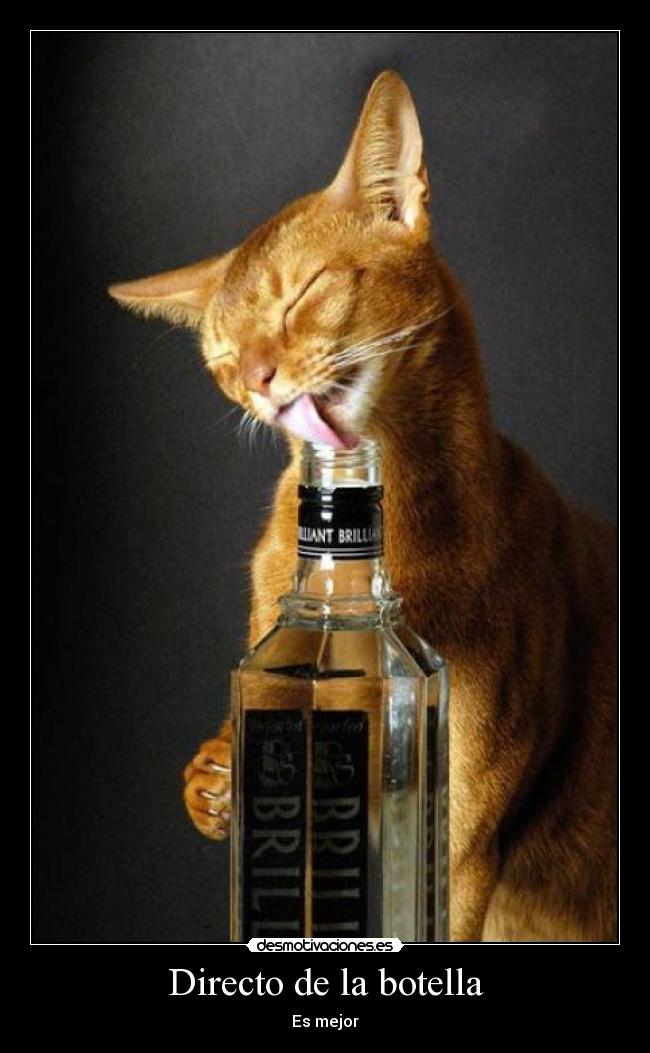 Directo de la botella - Es mejor