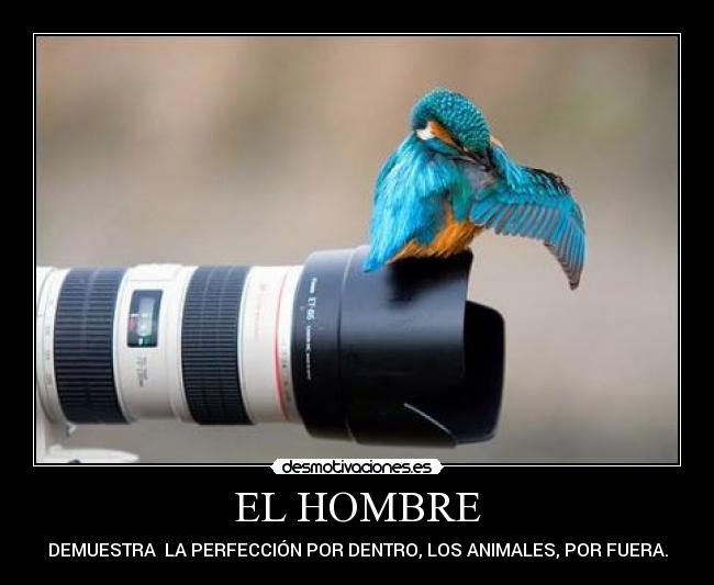 EL HOMBRE - 