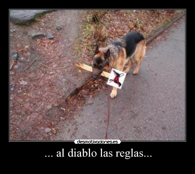... al diablo las reglas... - 