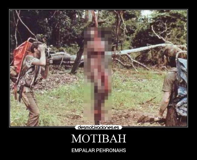 MOTIBAH - 