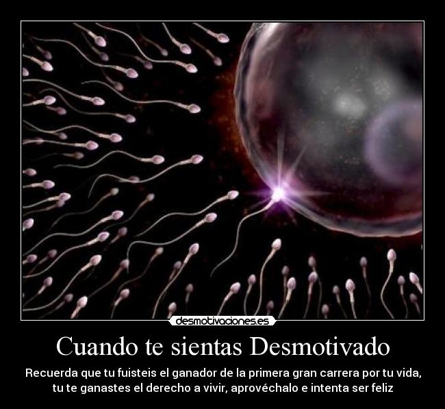 Cuando te sientas Desmotivado - Recuerda que tu fuisteis el ganador de la primera gran carrera por tu vida,
tu te ganastes el derecho a vivir, aprovéchalo e intenta ser feliz