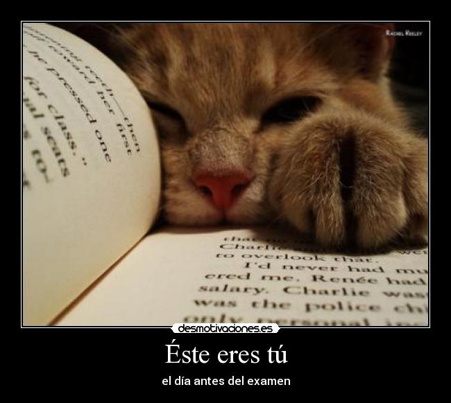 Éste eres tú - el día antes del examen