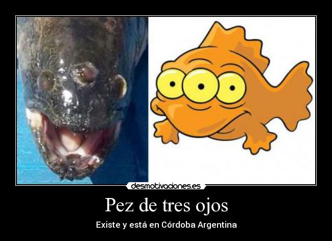 Pez de tres ojos -