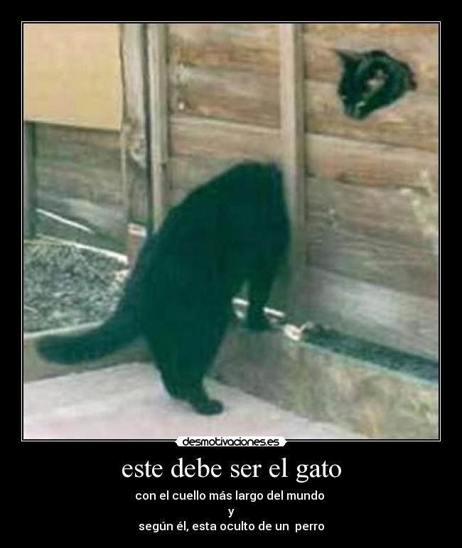este debe ser el gato - con el cuello más largo del mundo
y
según él, esta oculto de un perro