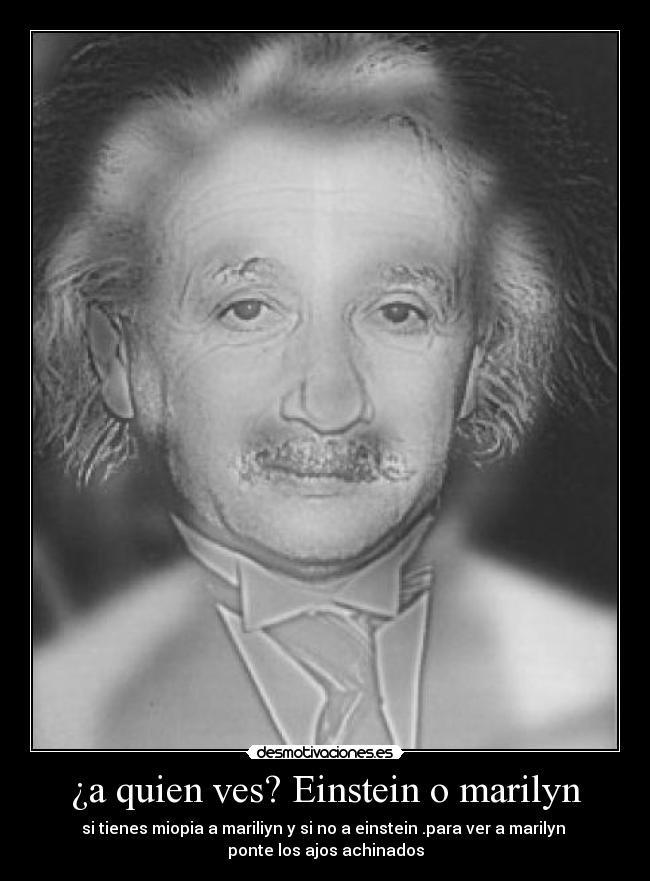 ¿a quien ves? Einstein o marilyn -