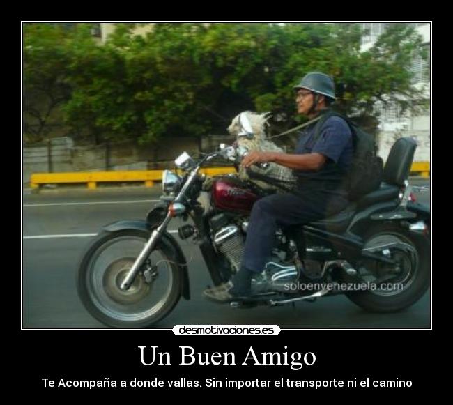 Un Buen Amigo -
