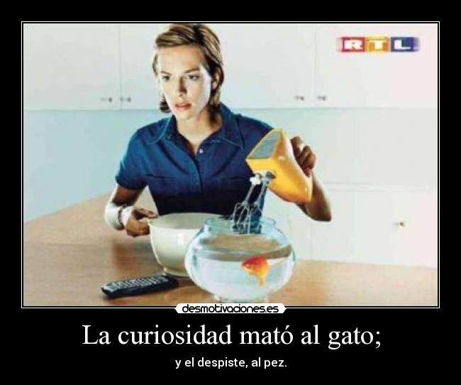 La curiosidad mató al gato; - y el despiste, al pez.