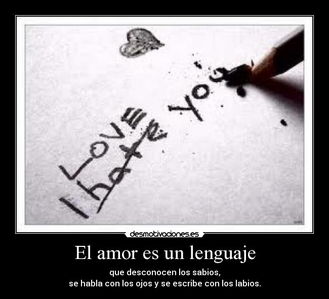 carteles amor amor lenguaje desmotivaciones
