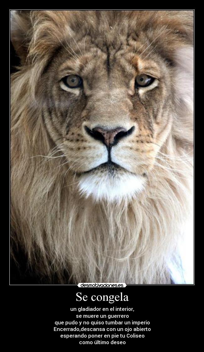 carteles muerete desmotivaciones