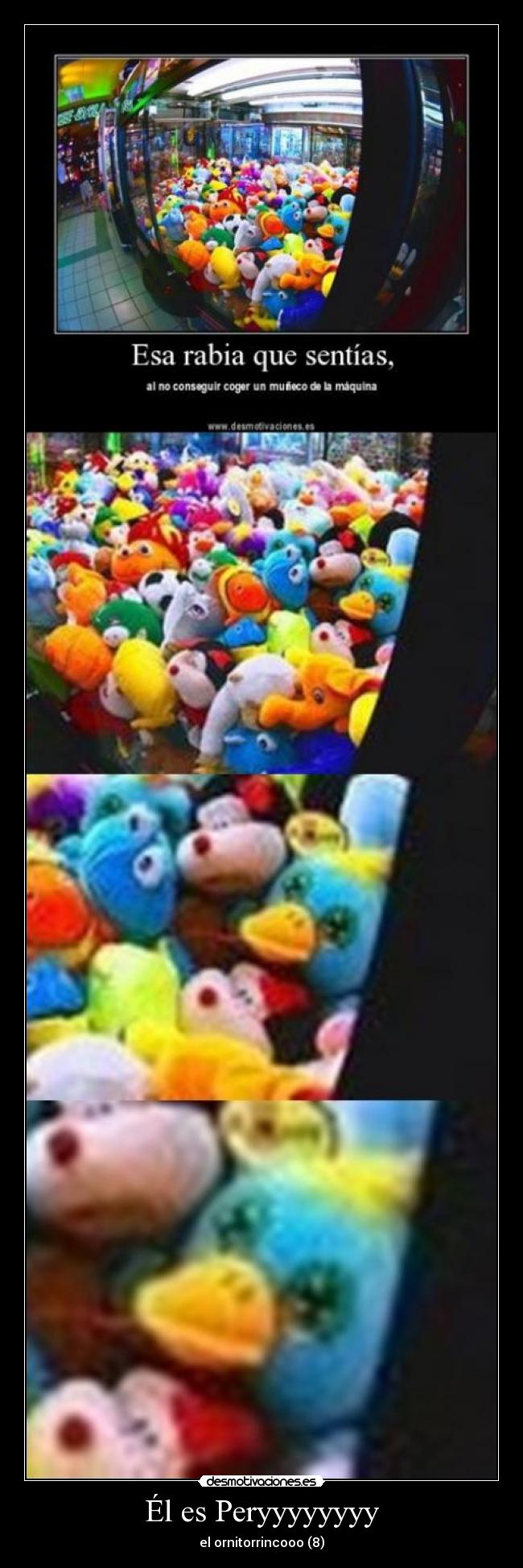 Él es Peryyyyyyyy - el ornitorrincooo (8)