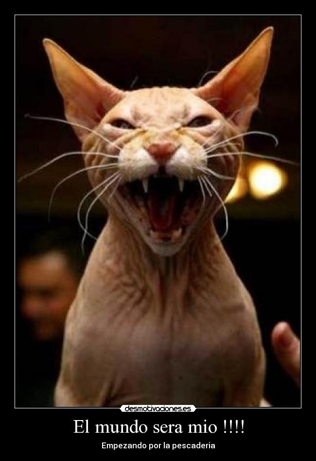 El mundo sera mio !!!! - Empezando por la pescaderia