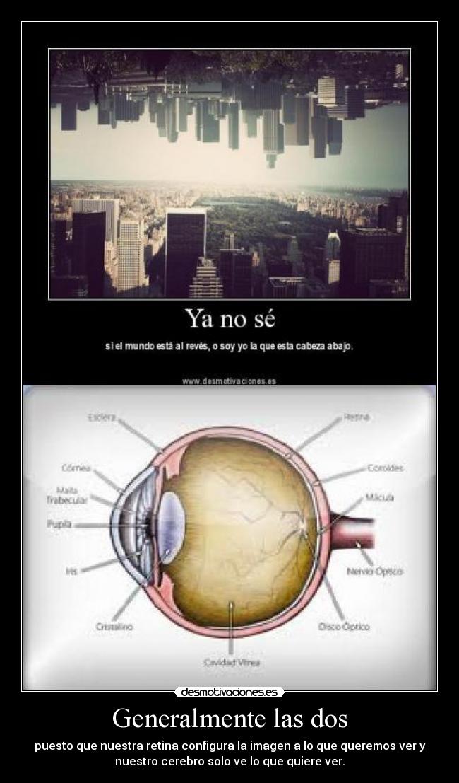 Generalmente las dos - puesto que nuestra retina configura la imagen a lo que queremos ver y
nuestro cerebro solo ve lo que quiere ver.