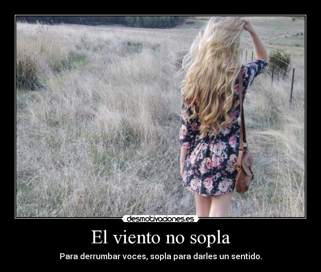 El viento no sopla -