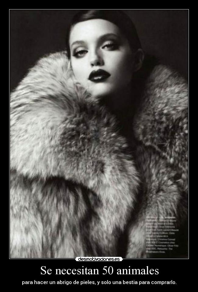 Se necesitan 50 animales -
