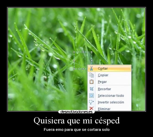Quisiera que mi césped - Fuera emo para que se cortara solo