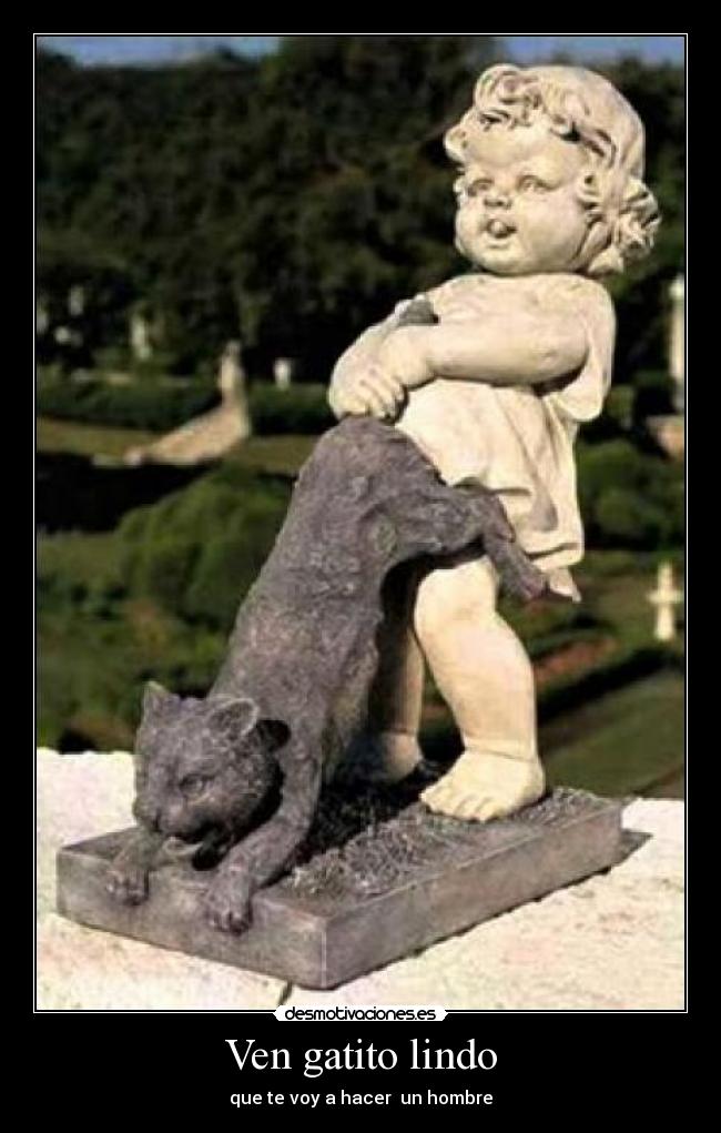 Ven gatito lindo -